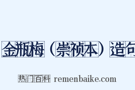 金瓶梅（崇祯本）造句是什么意思的图片